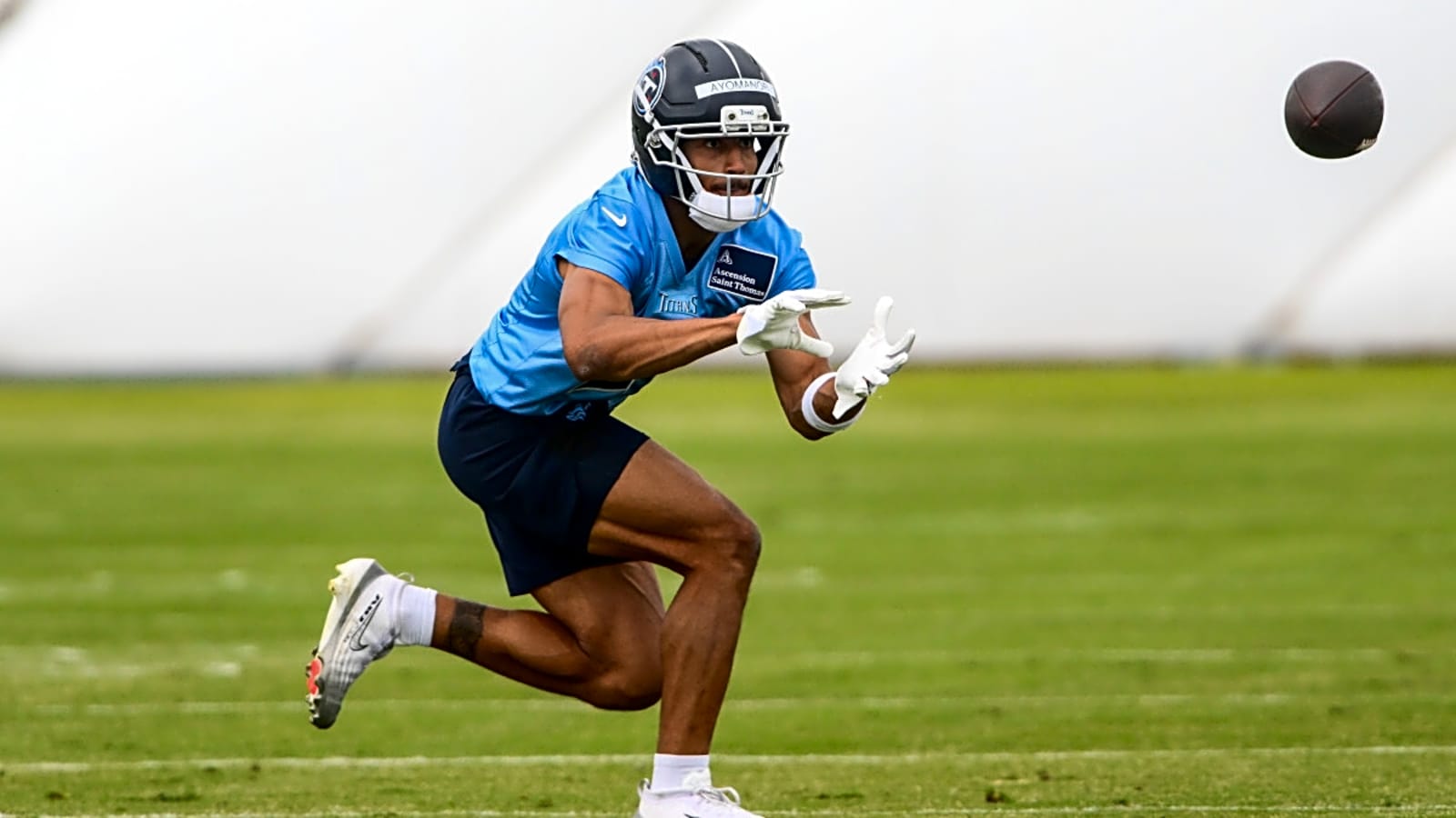 Former Titans Wide Receiver Gives His Thoughts on Elic Ayomanor