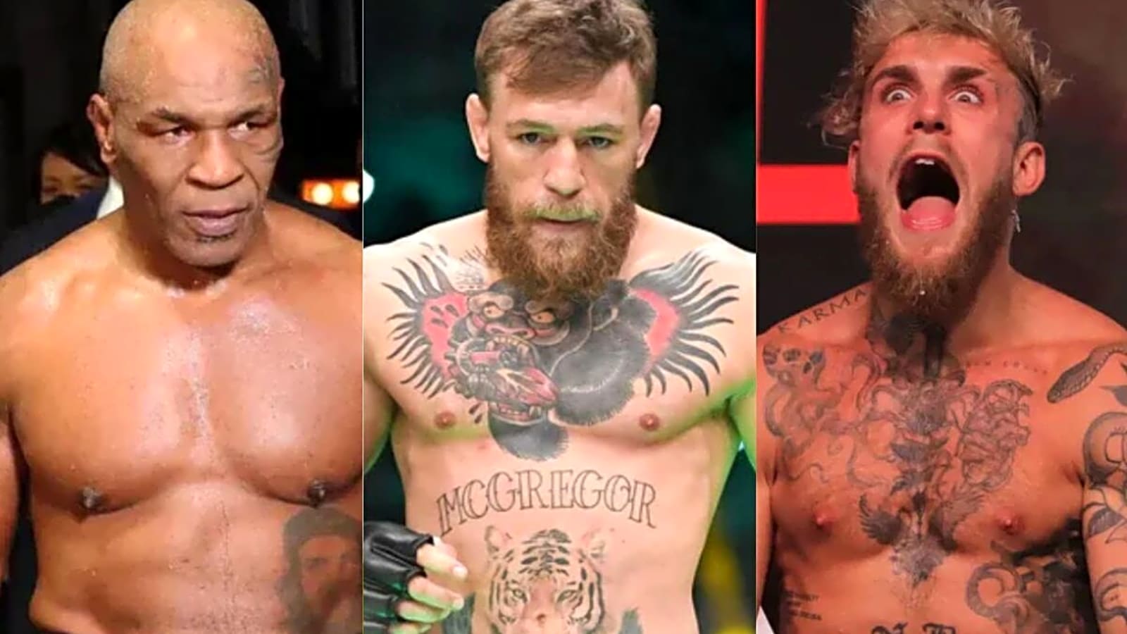Conor McGregor Can Beat Jake Paul vs. Mike Tyson’s 108M Netflix Achievement: Sean O’Malley