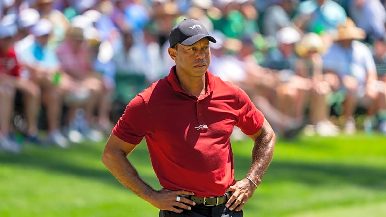 Augusta National Responds To Tiger Woods Withdrawing From The Masters