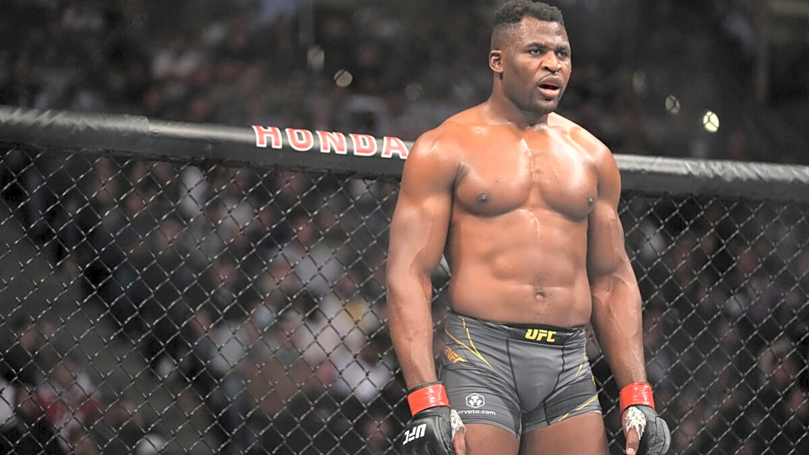 &#39;Heart Is Shattered&#39; - UFC Legend Breaks Silence On Tragic Accident
