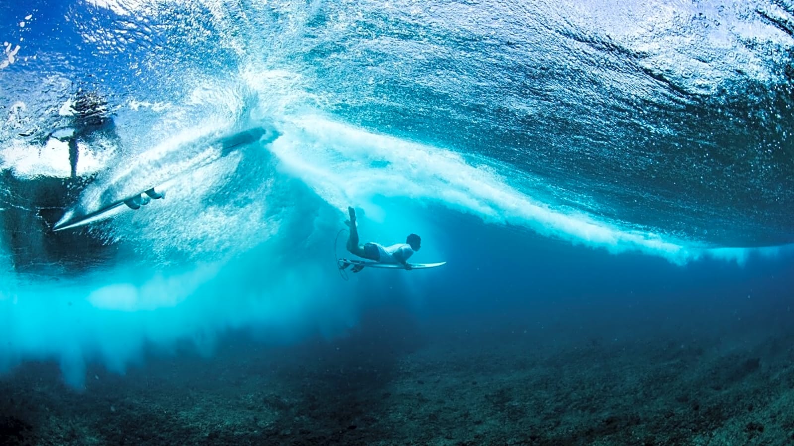 Today, We Celebrate: World Ocean Day