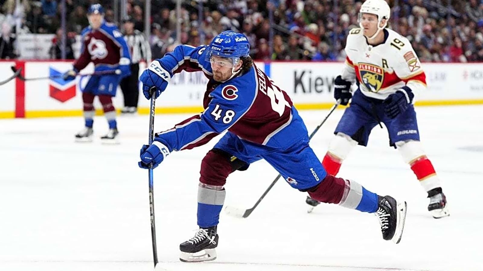 Sharks Sign Tye Felhaber to Bolster Forward Depth