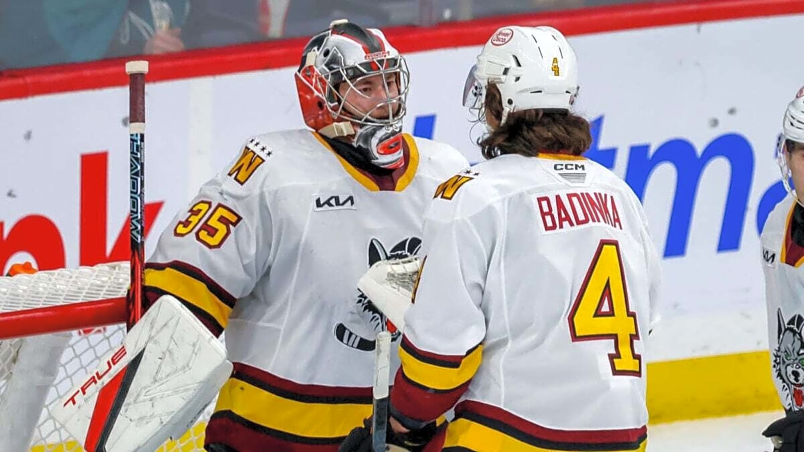 Chicago Wolves Punch Ticket to Calder Cup Playoffs