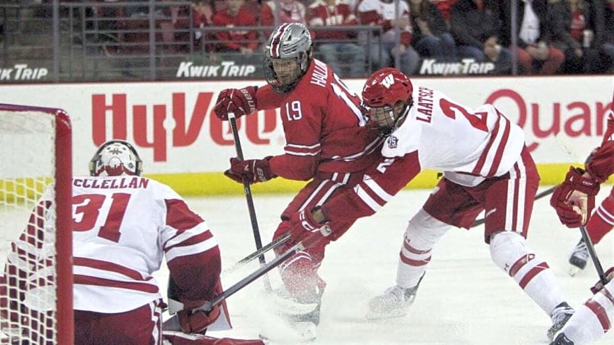 Senators Need to Find a Roster Spot for Stephen Halliday Next Season