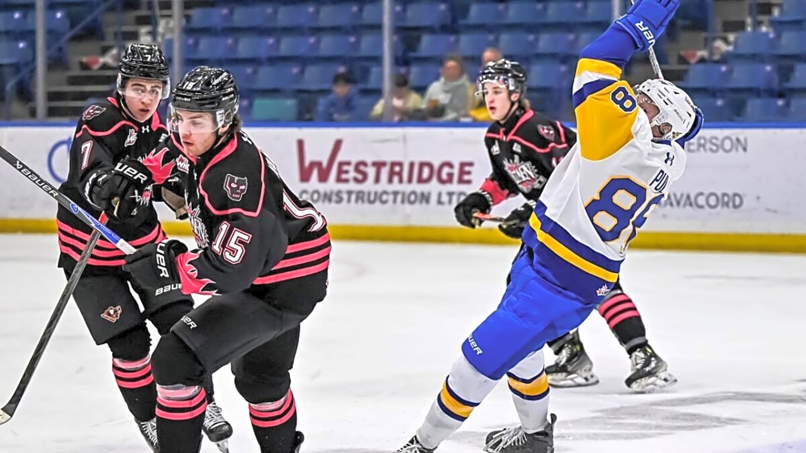 Ottawa Senators Prospect Spotlight: Blake Vanek