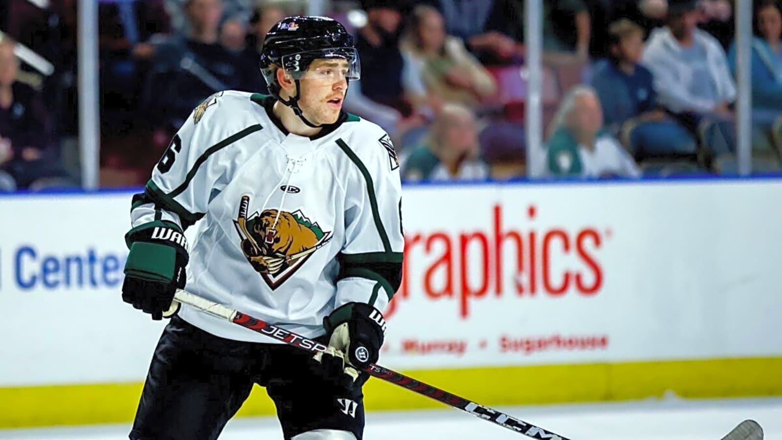 Utah Grizzles Most Likely Relocating With Potential Sale