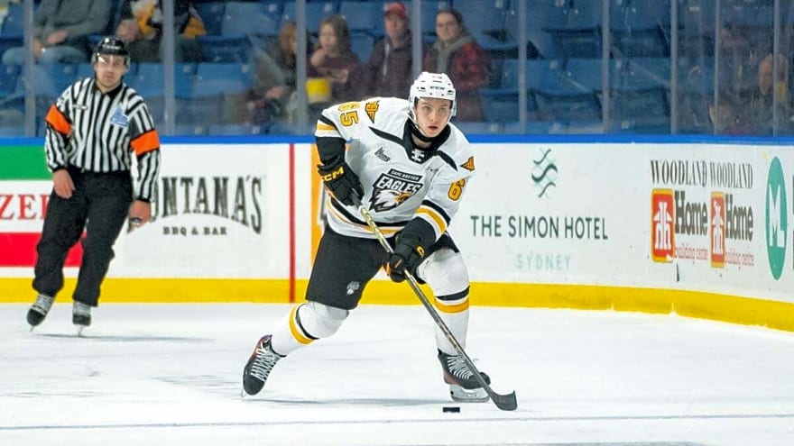 5 Things to Know About New Oilers Defenceman Tomas Cibulka