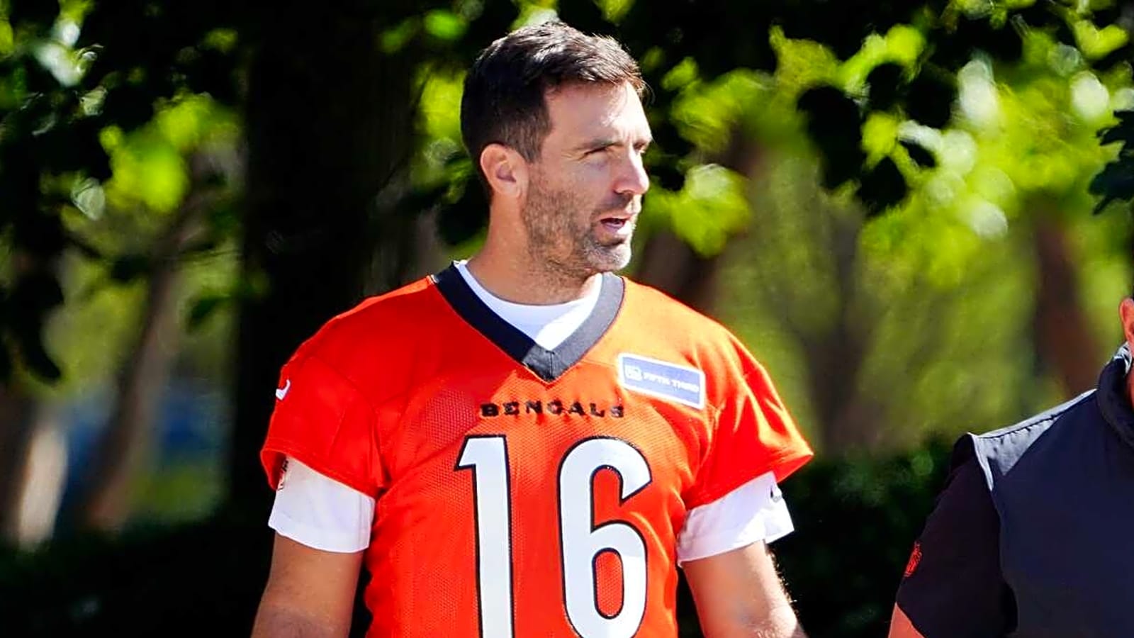 Bengals players discuss Joe Flacco's quick transition 