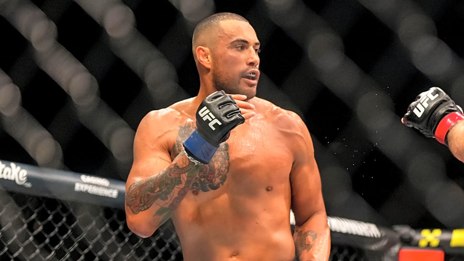 Potential light heavyweight matchups for Ulberg, Reyes