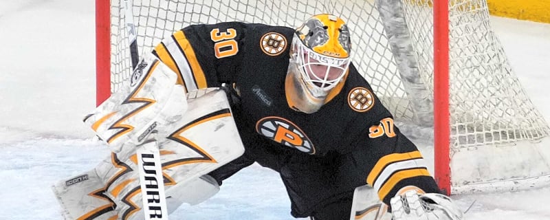 Edmonton Oilers Insider Links Two Young Goalies as Possible Targets