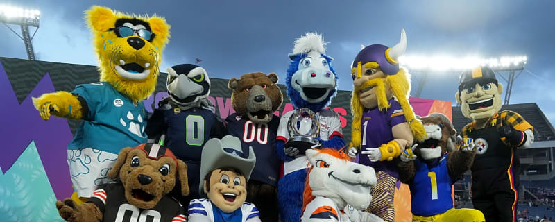 The 'NFL mascot names' quiz