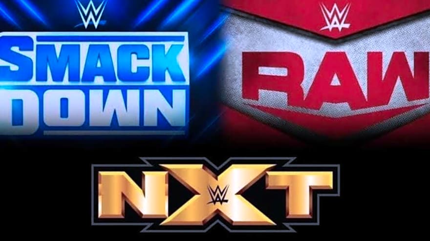 WWE Fans Want Survivor Series Brand Warfare To Return - Imagine Cody Rhodes vs CM Punk vs Ricky Saints