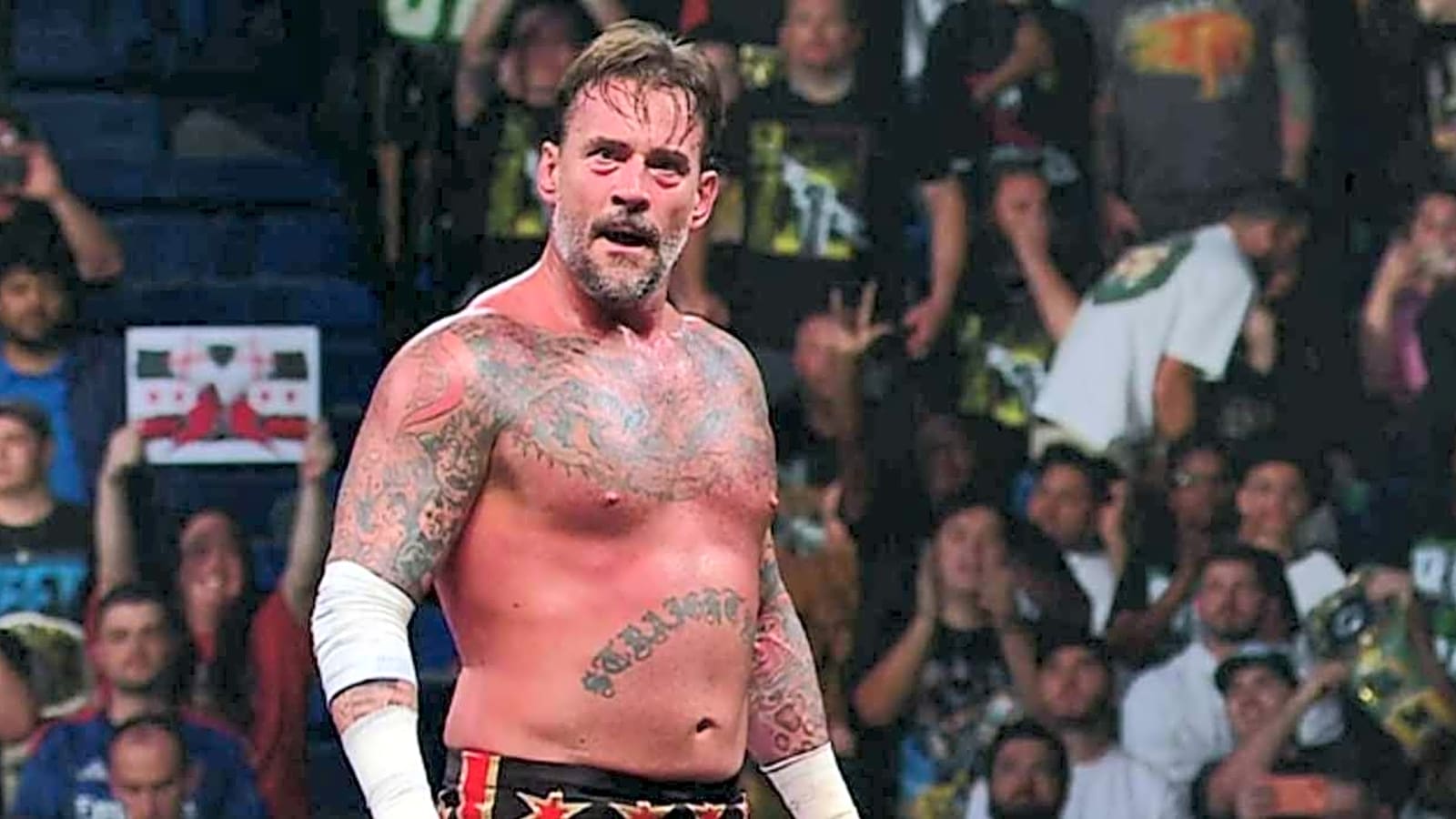 CM Punk Earns World Heavyweight Title Shot