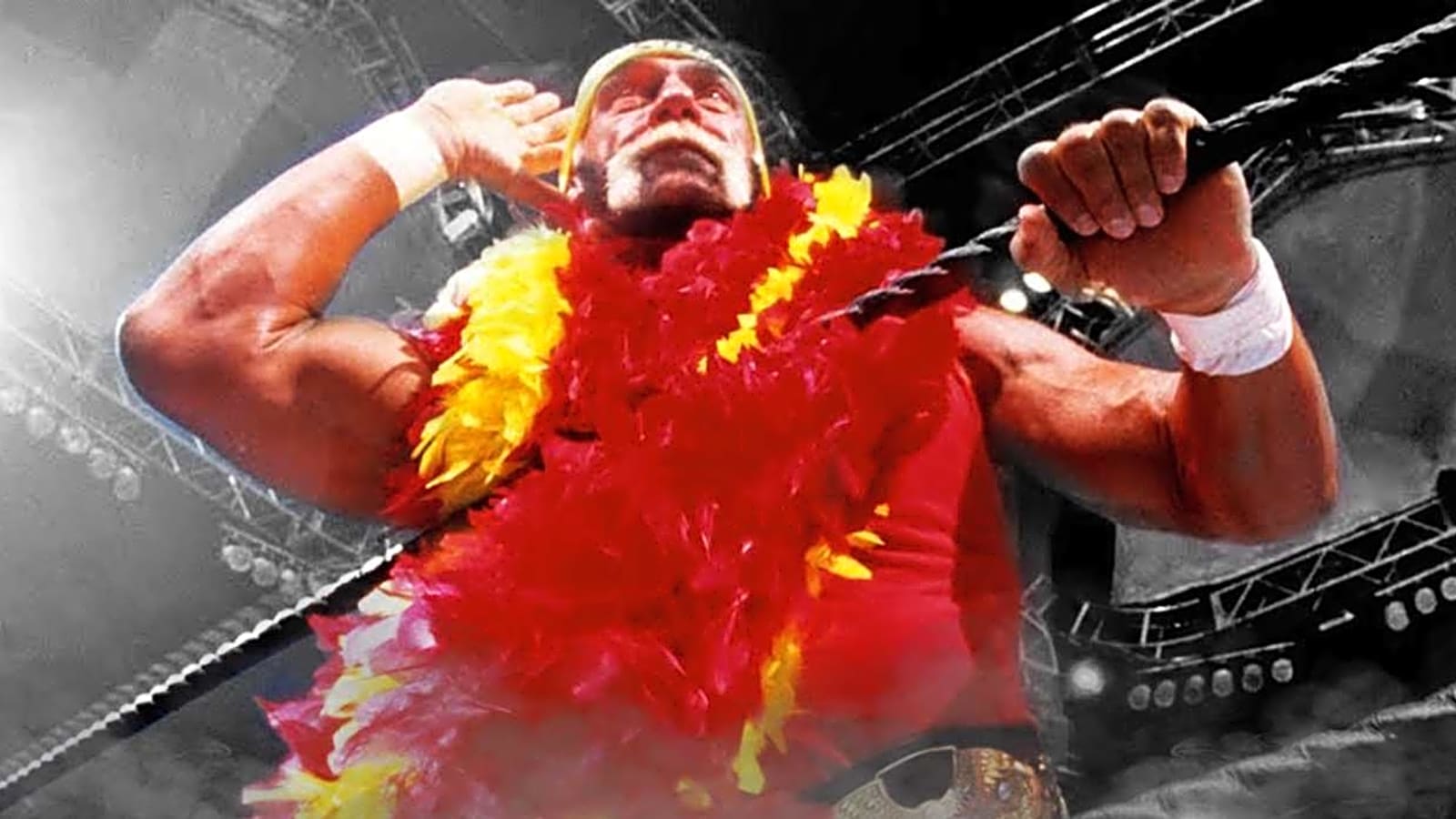What Hulk Hogan&#39;s WWE Exit Might Have Looked Like Under Vince McMahon