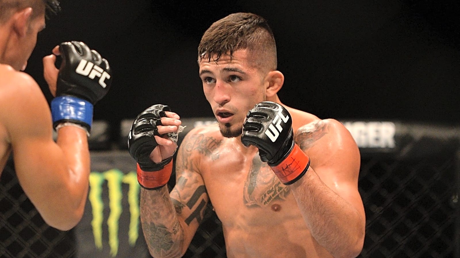 Sergio Pettis wins MMA fight with incredible elbow KO