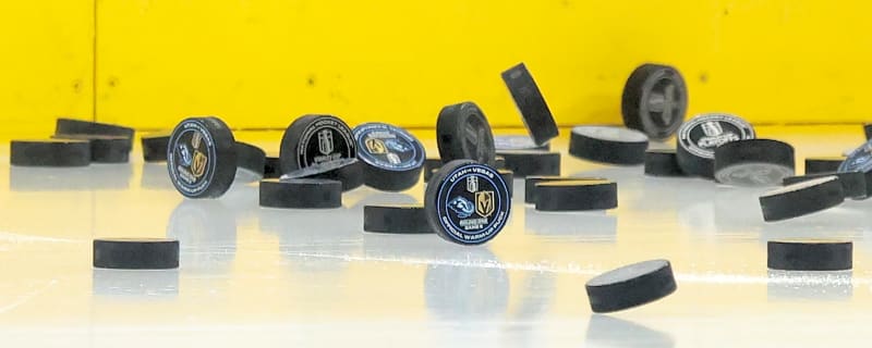 Maple Leafs Add Goalie Prospect to System
