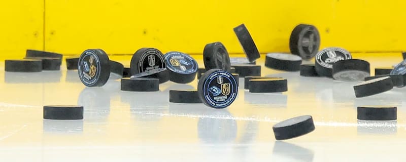 Pittsburgh Penguins End 29-Year Partnership, Wheeling Voice Reacts