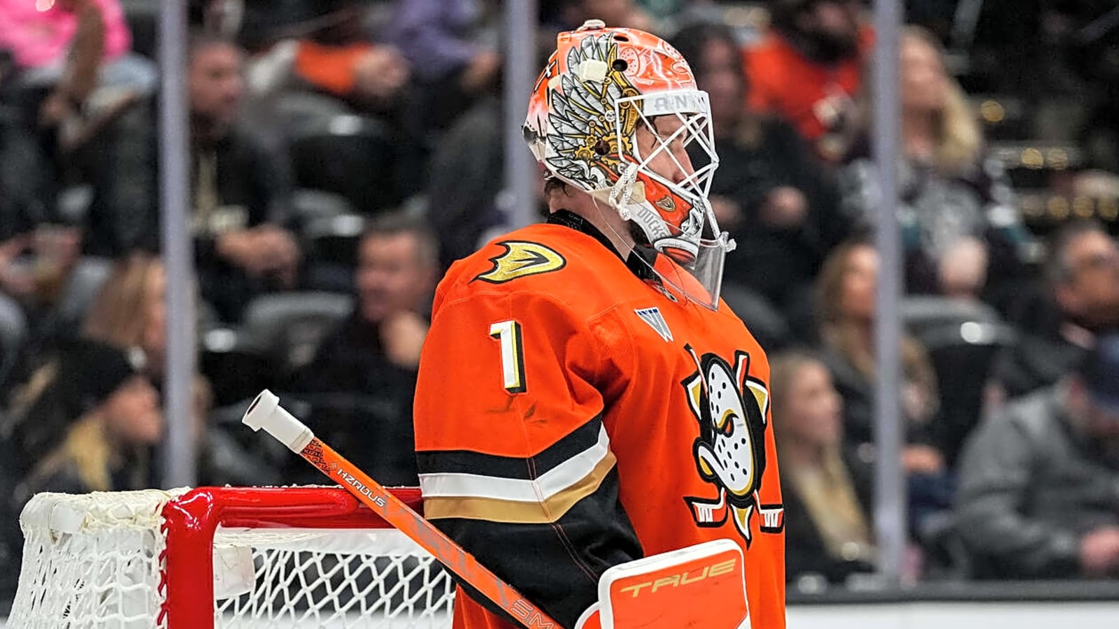 Ducks Activate Lukas Dostal From Injured Reserve