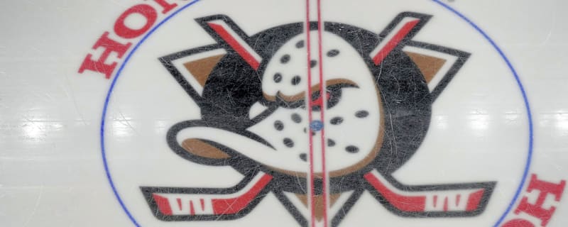 Breaking down the strange new direction of the Ducks