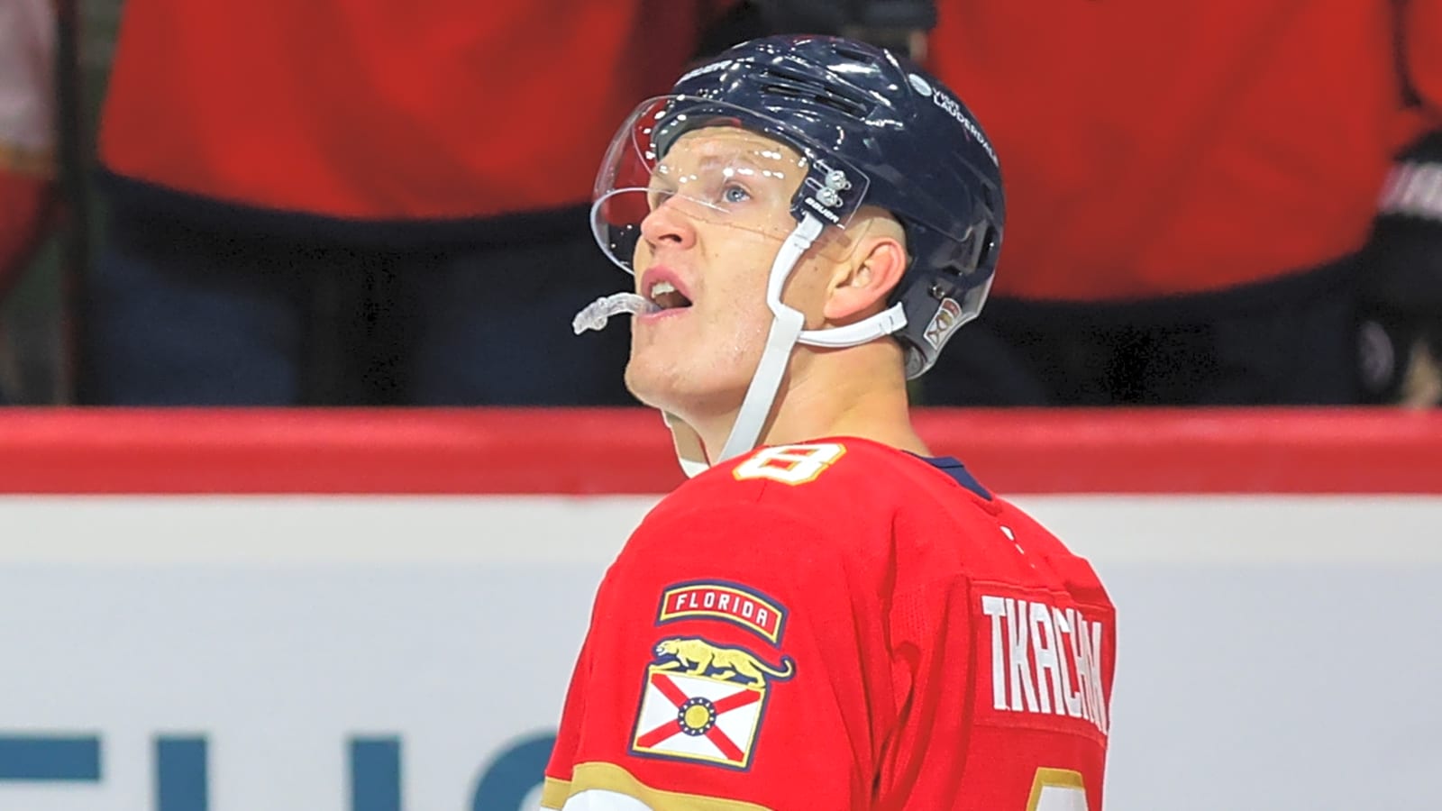 Panthers-Senators was exactly what the NHL needed