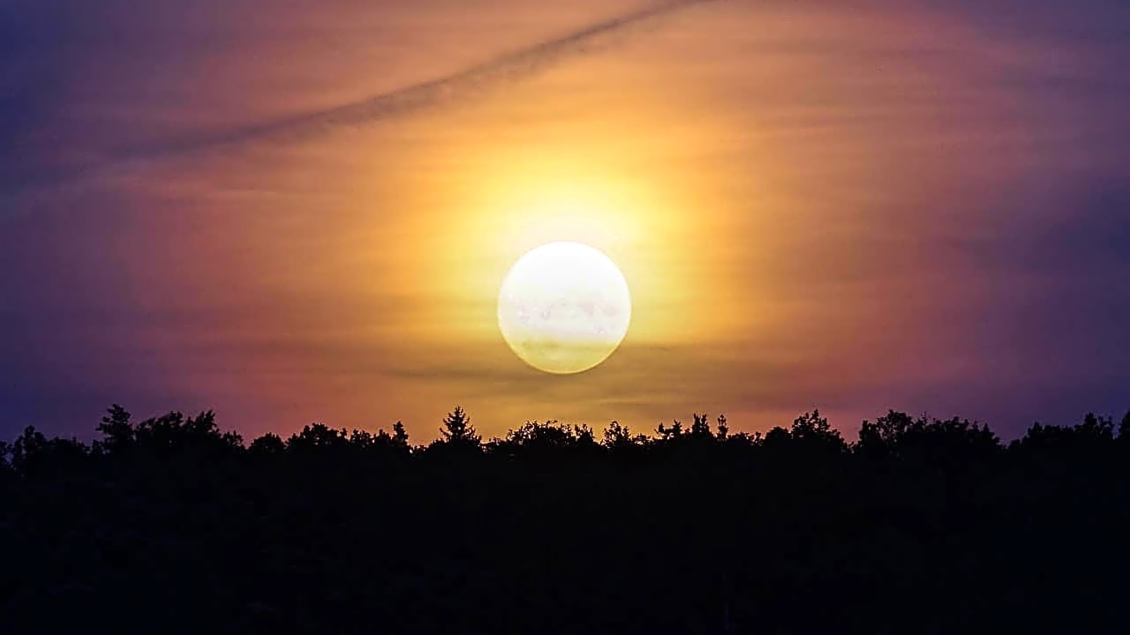 What the Capricorn Full Moon Is Illuminating in Your Life Based On Your Zodiac Sign
