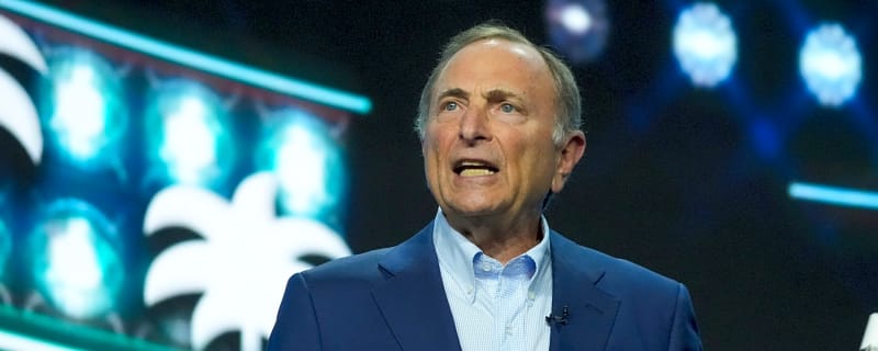 NHL is expecting more slow-moving offseasons in the future