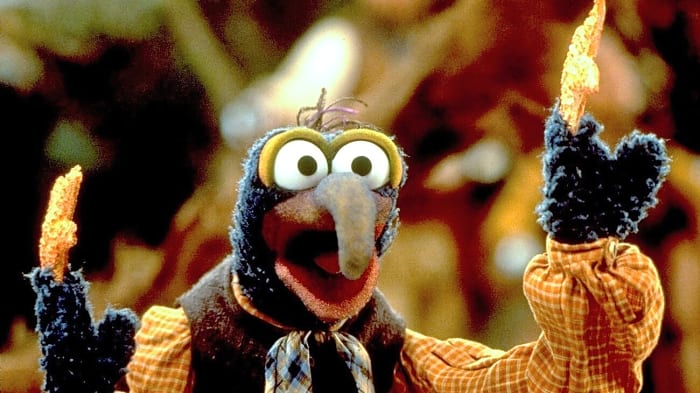 Gonzo