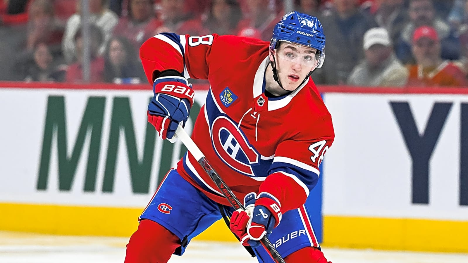 Calder 2026: Ivan Demidov is the favourite (by far)