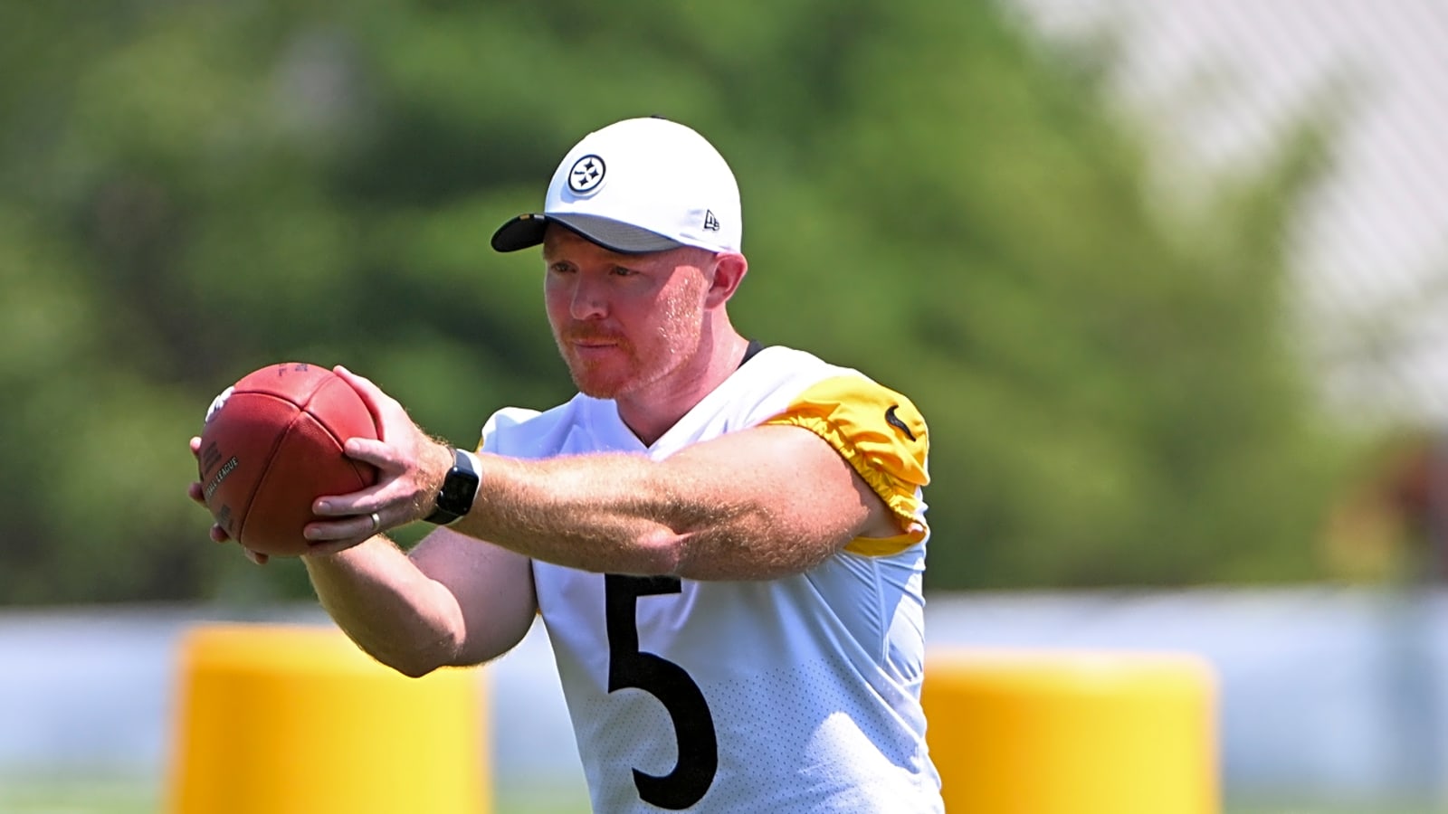 Steelers cut P Cameron Johnston, 12 others