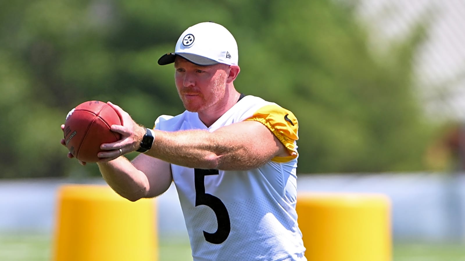 Bills sign punter who looks exactly like a famous comedian
