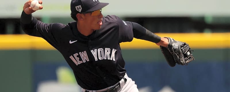 Yankees Prospect Report: Somerset Patriots fall 5-4 In Close Battle