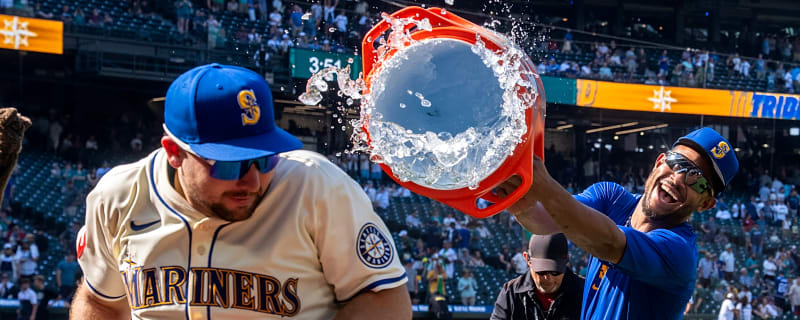 The 'MLB home run record by position' quiz