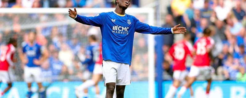 Fans give their honest verdict on how Thierno Barry is doing at Everton right now