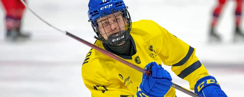 Prospect Guide: Where the LA Kings Prospects will be playing this season