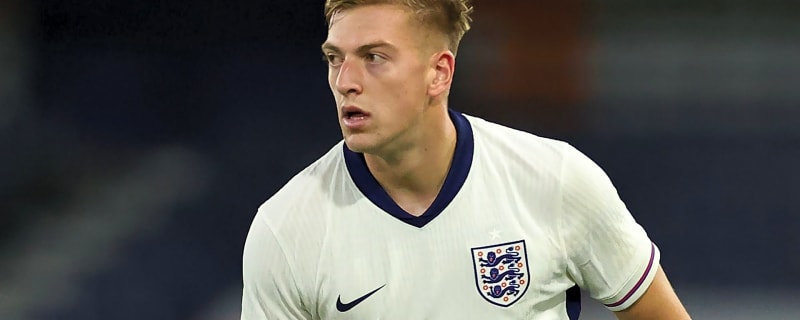 Next Harry Kane? Ex-England striker ‘not sure’ Liam Delap is heir to the throne despite seeing £50m Nottingham Forest transfer end Chelsea struggles