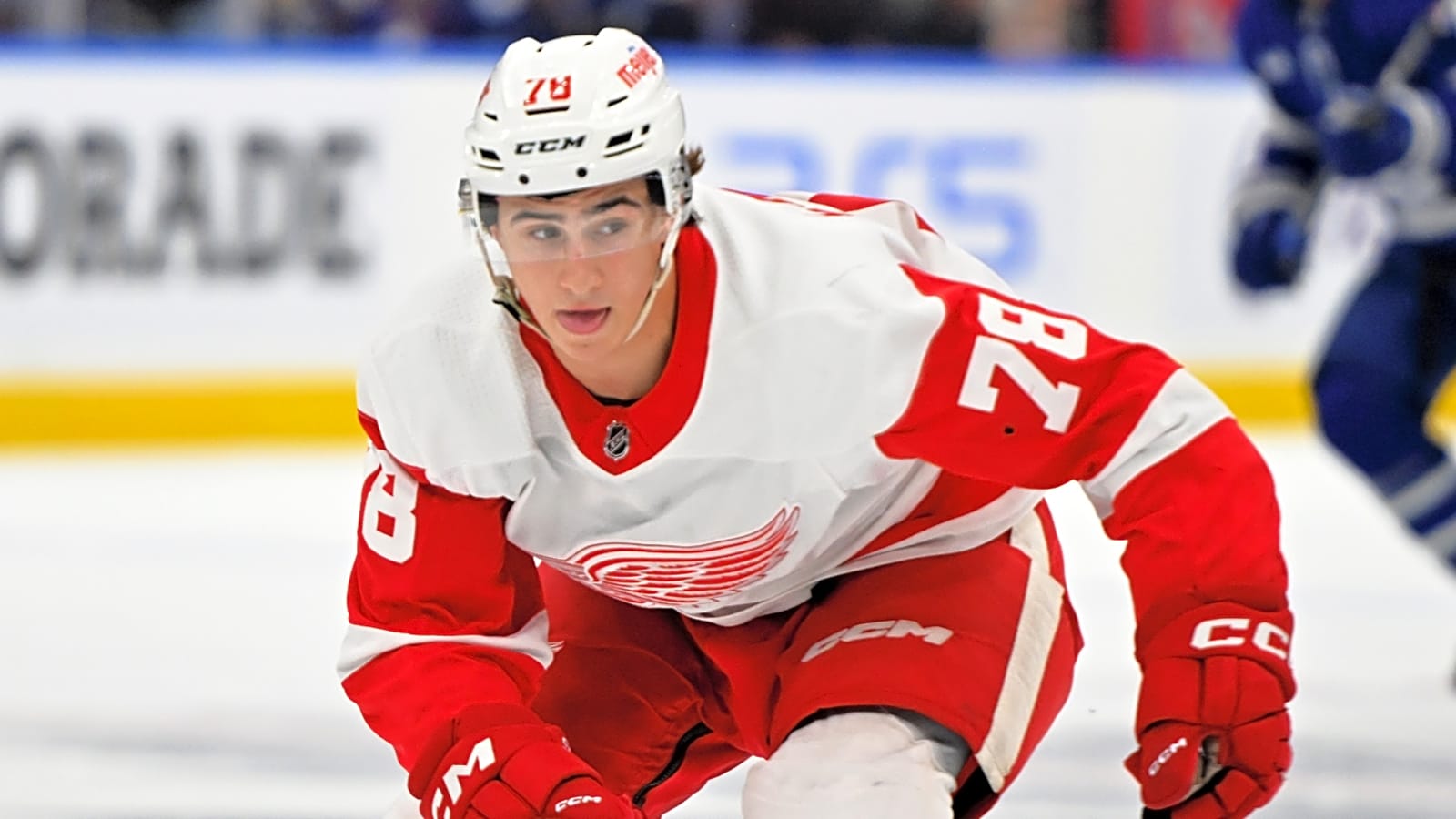 How the Detroit Red Wings Prospects Performed