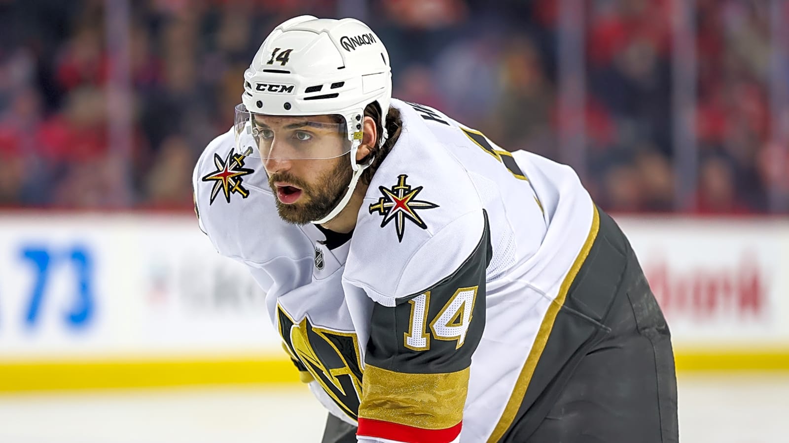 Predators place two players on IR