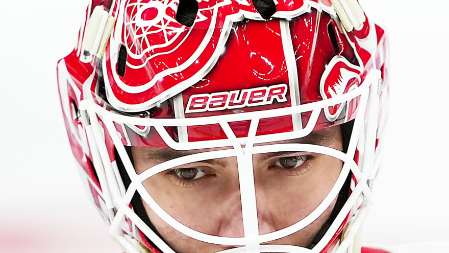 Detroit Red Wings Recall Michal Postava