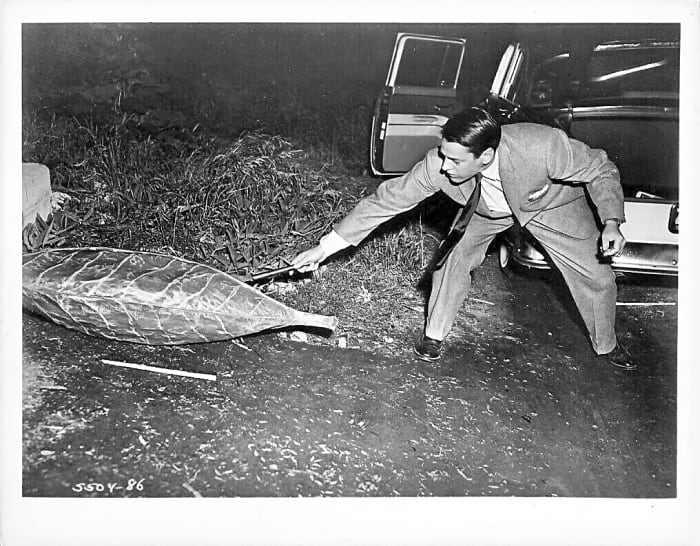 'The Body Snatchers'