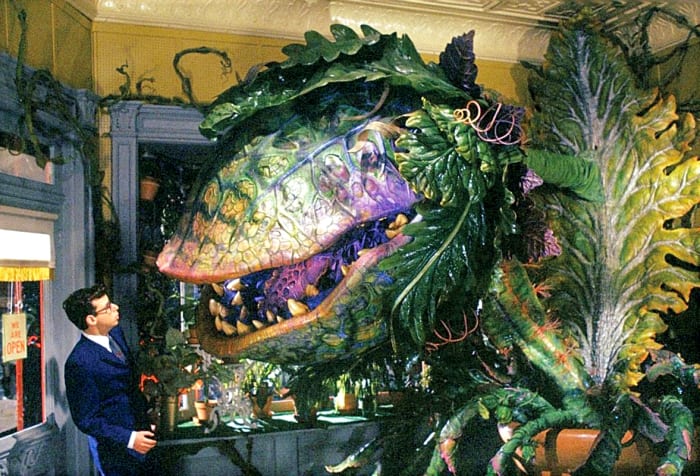 Little Shop of Horrors