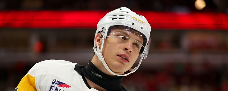 Penguins Recall Rutger McGroarty And Boko Imama From WBS