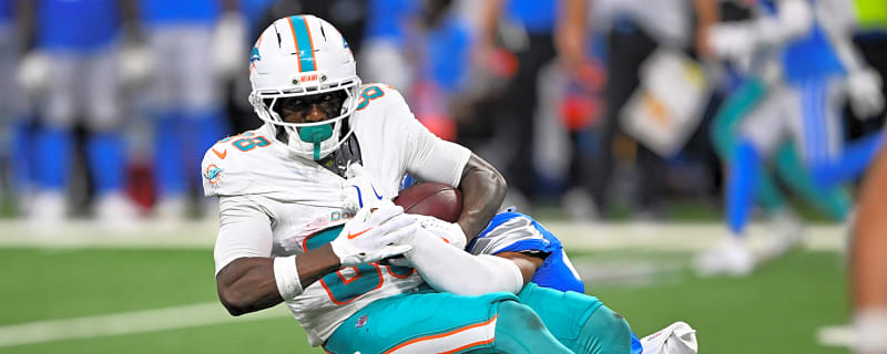 The 14 Newest Miami Dolphins