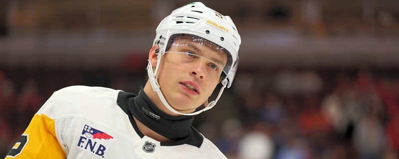 Penguins recall top prospect Rutger McGroarty