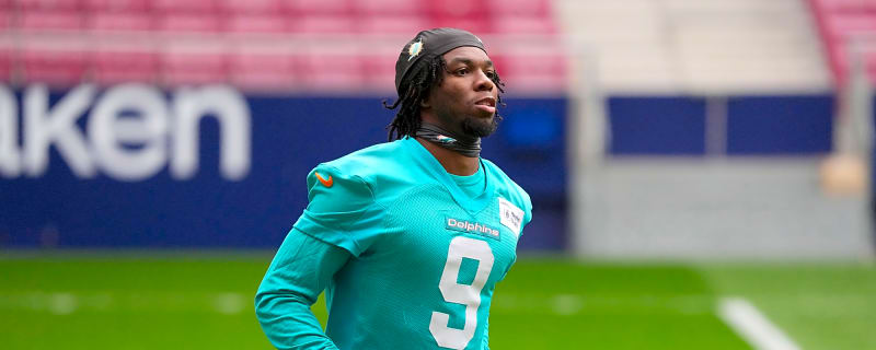 Former Dolphins Safety Works Out for Seahawks