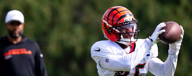 Bengals Made Two Moves, Promote CB Jalen Davis