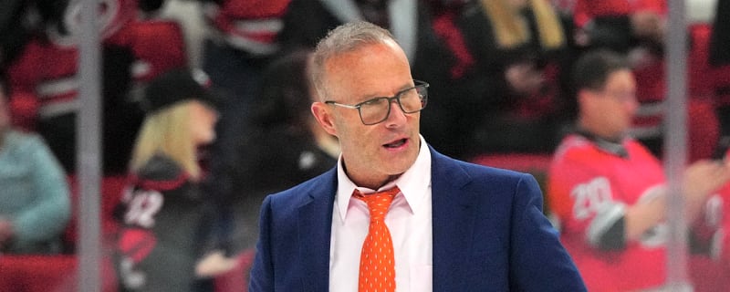 Wild hire former NHL head coach to AHL role