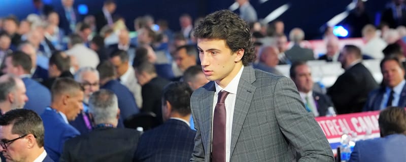Maple Leafs prospect Ben Danford is confident to handle pressure of pro hockey