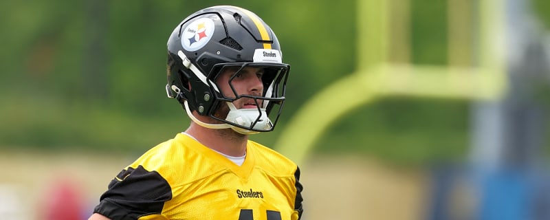 Steelers' First Big Camp Fight Erupts As Payton Wilson Defends Patrick Queen