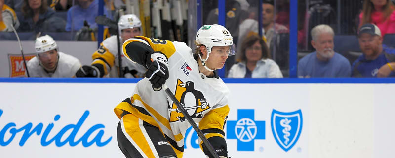 Dallas Stars have found a diamond in the rough that will fix their defense and save their season