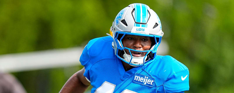 Lions Put Two On IR, Signed Two